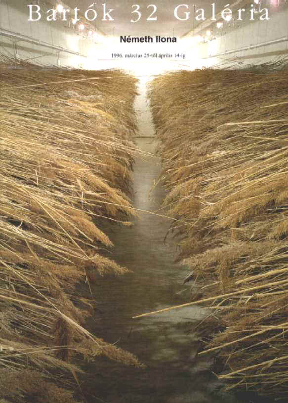 nemeth1.JPG (60725 bytes)