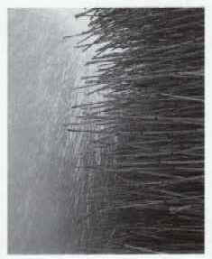 nemeth2.JPG (8051 bytes)