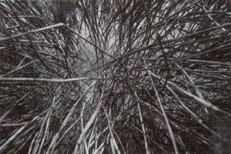 nemeth4.JPG (26399 bytes)