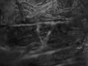 dscn2830.jpg
