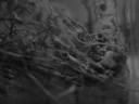 dscn2832.jpg