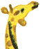 The Last Window Giraffe