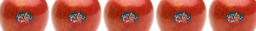 MUSICAL PROFILE