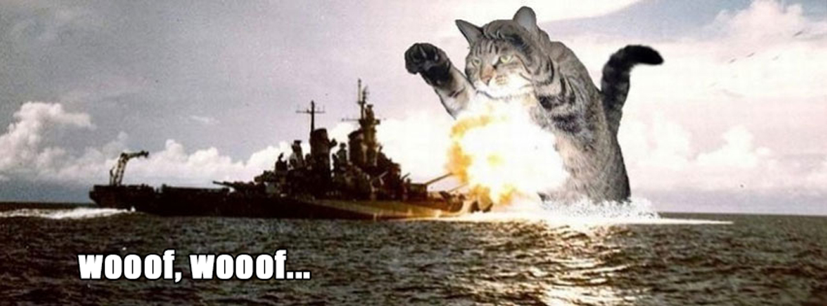 found image of cat vs battleship, facebook cover.