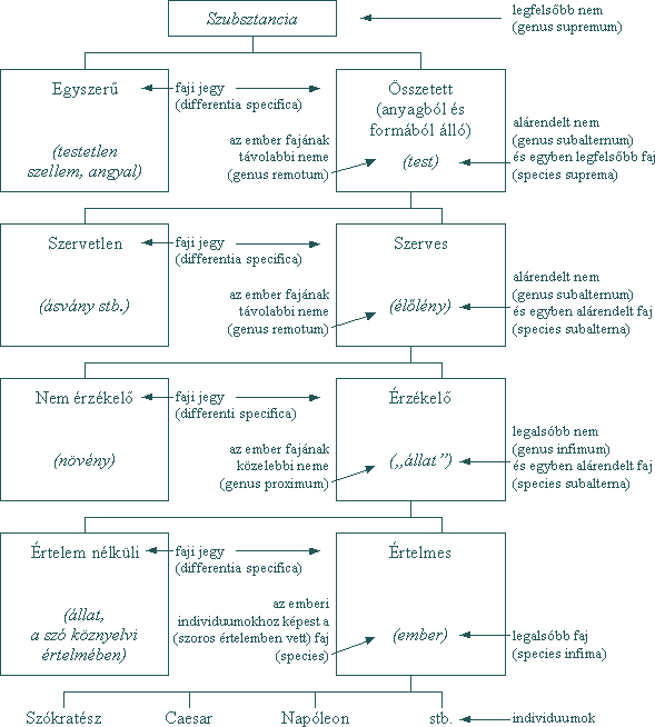 A szubsztancia feloszt�sa