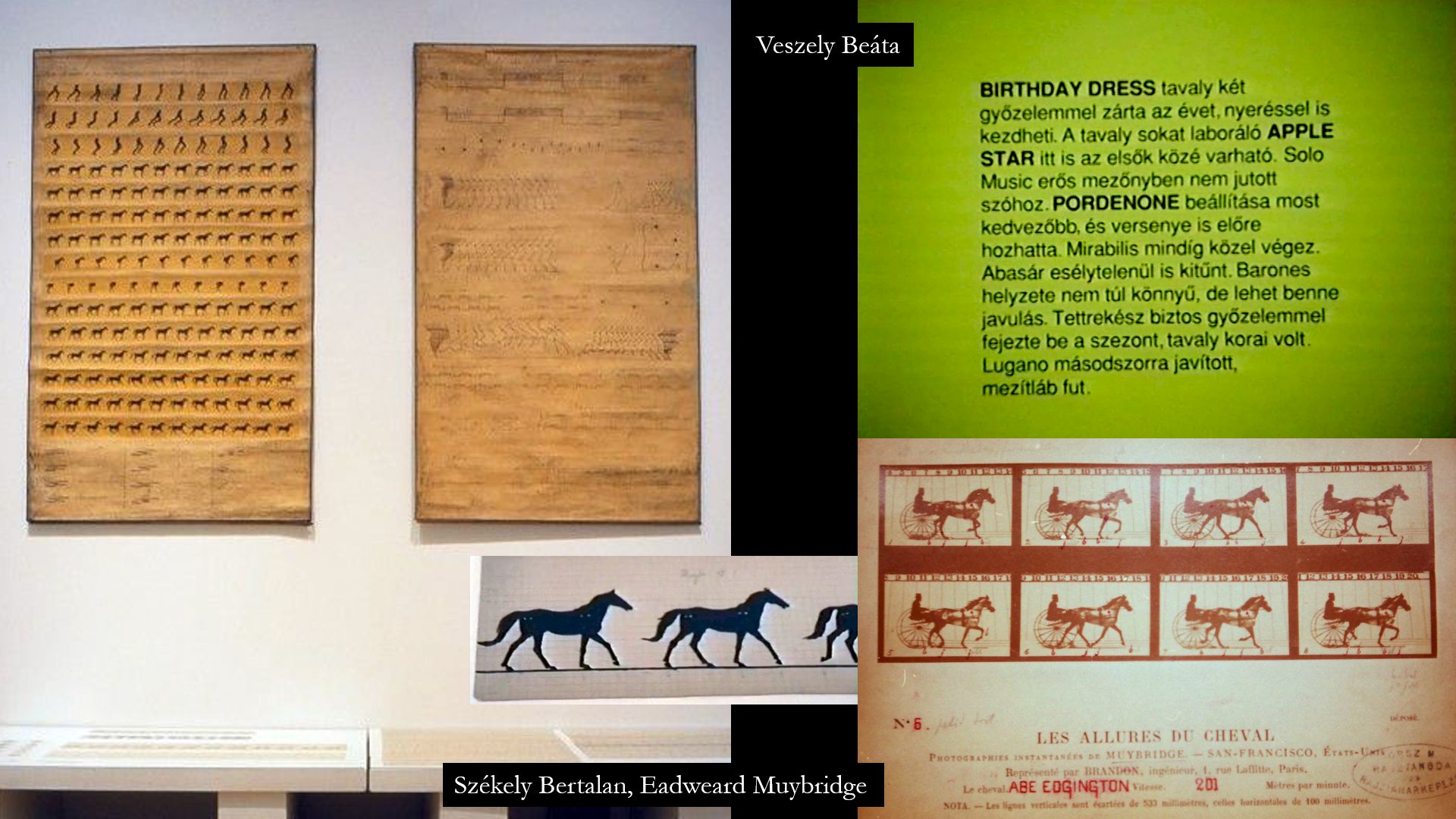 A II. terem: A szövegek mintegy visszagaloppoznak az I. teremben kiállított Székely Bertalan lómozgás tablókhoz valamint Eadweard Muybridge képeihez. (Veszely Beáta, Életidőből (A lóverseny csodálatos világa), 1995-96. Vegyes technika, installáció) (1996. © C3 Alapítvány)