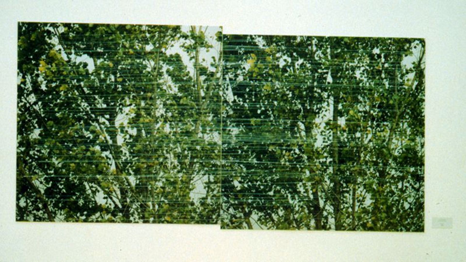 A II. terem: El-Hassan Róza, Önmagával összekötött fa, 1995-96. Vegyes technika (1996. © C3 Alapítvány)