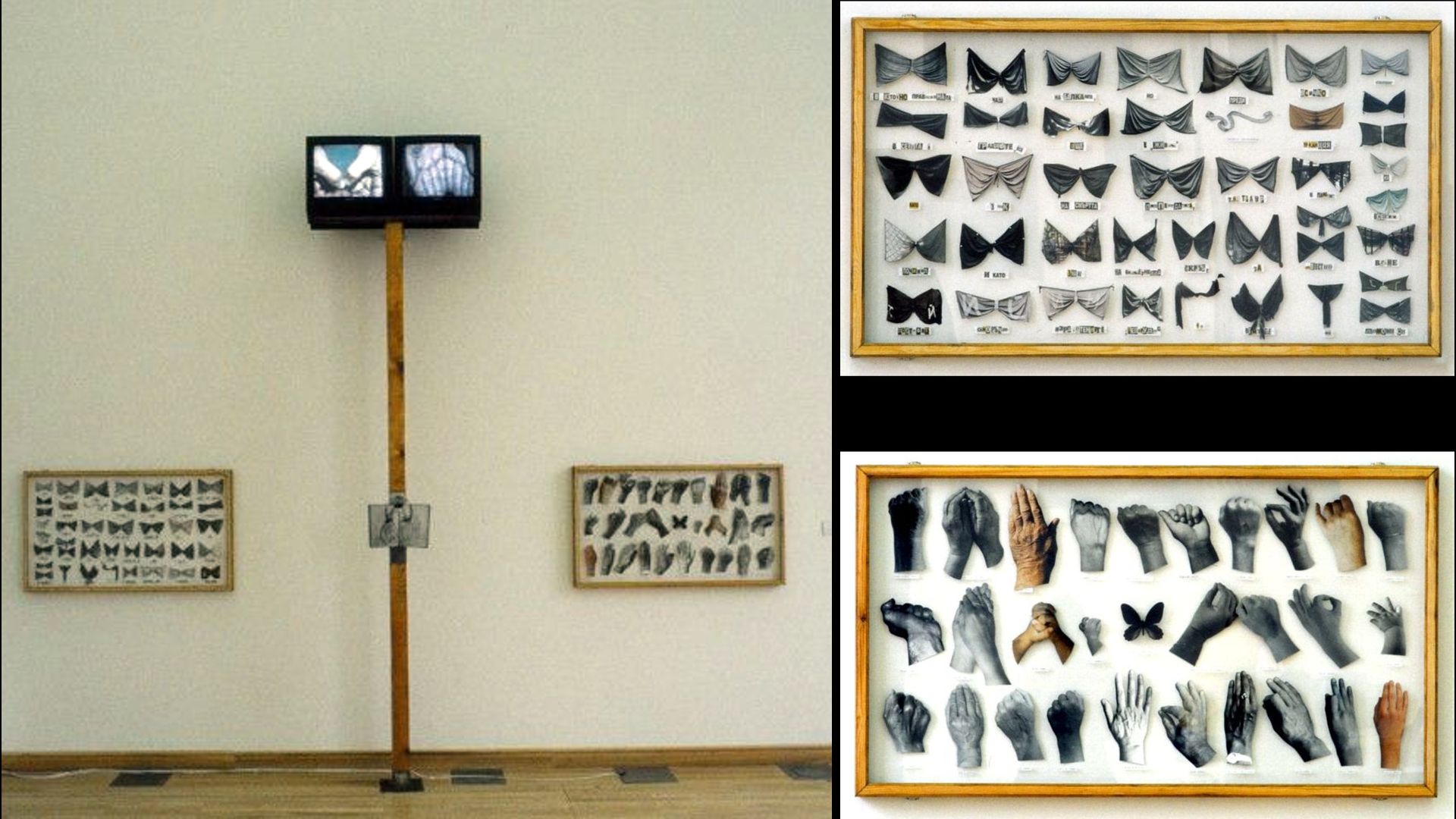 Nemes Csaba, Pillangót fogtam, 1996. Vegyes technika, installáció. Pillangó adás, 1996. Videóinstalláció (1996. © C3 Alapítvány)
