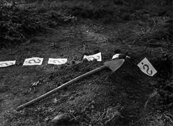 A kérdõjeles sorozatból / From the question-mark series