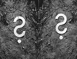 A kérdõjeles sorozatból / From the question-mark series