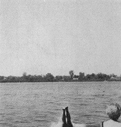 Egy fotó felületének a képe, 1976