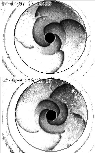 kulon kulon forgo hullamok