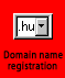Online domain name registration