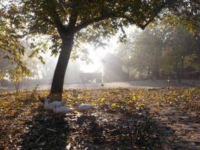 A napi 18 óra munka dicsőítése