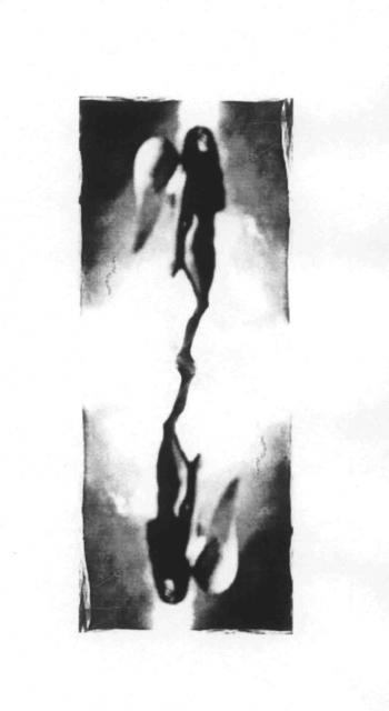 2005. május 2005. május