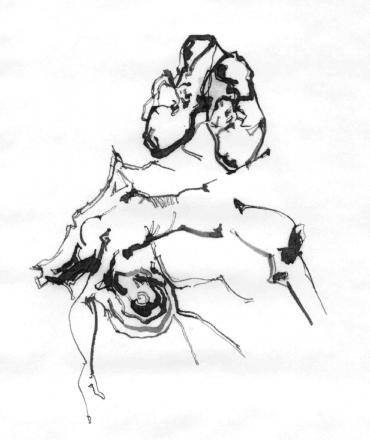 2006. szeptember 2006. szeptember