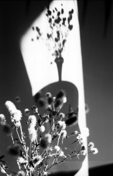 2008. május 2008. május