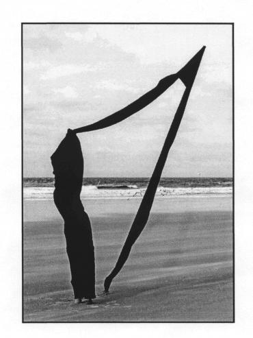 2005. december 2005. december