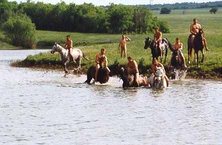 Tisztas�gi f�rd�