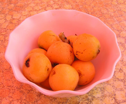 A sziget különleges gyümölcse a muszmula