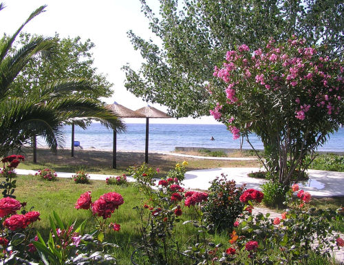 A tengerre nyíló udvar