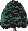 fa1.gif (7375 bytes)