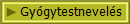 Gy�gytestnevel�s