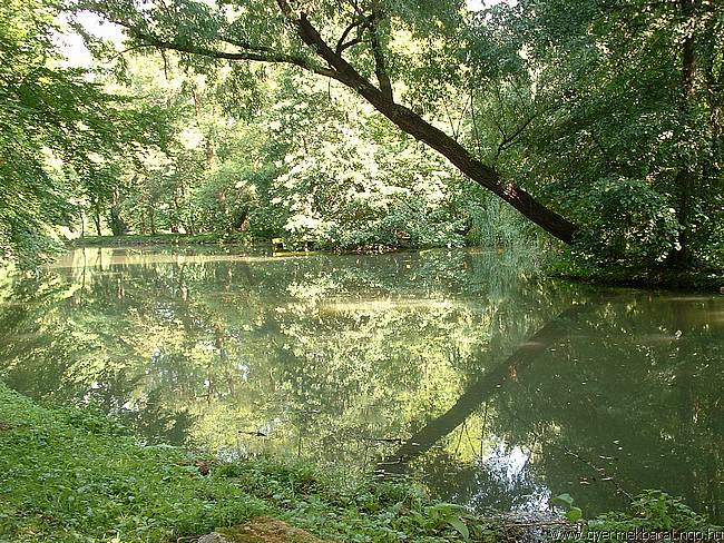 II. International Childfriend Festival