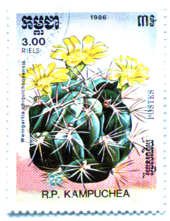 Belyeg0.JPG (183011 bytes)