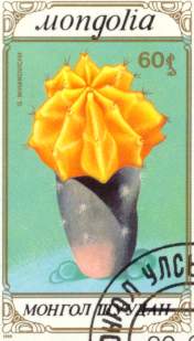 Belyeg2.jpg (10794 bytes)