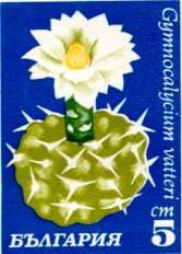 Belyeg3.jpg (10737 bytes)