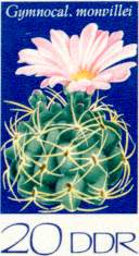 Belyeg5.jpg (9708 bytes)