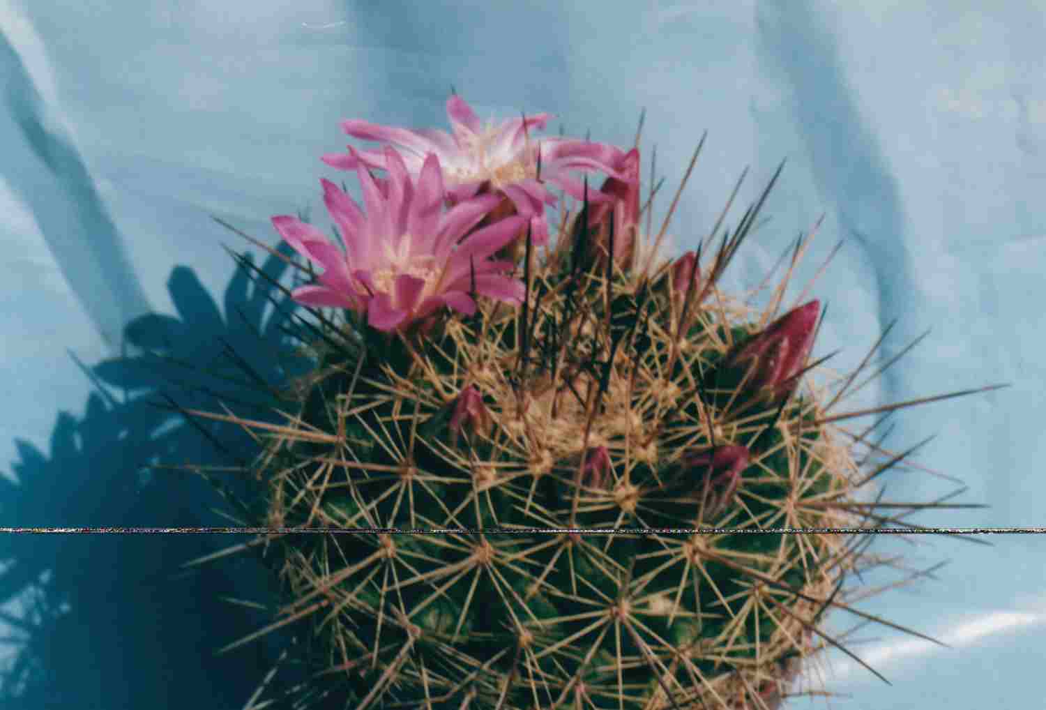 szut02.jpg (56832 bytes)