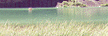 jamison lake