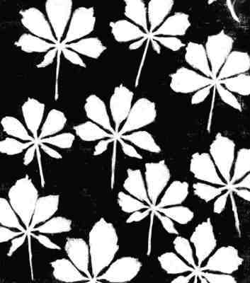 Fekete Balzs alkotsai